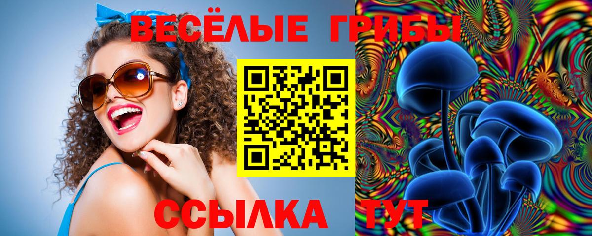 Галлюциногенные грибы прущие грибы  Вход с VPN  купить  цена  Томск 